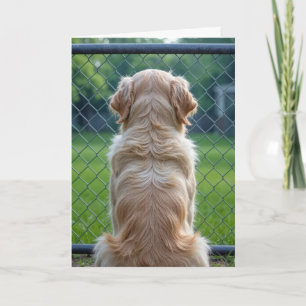 Carte Perte d'un chien de compagnie regardant à travers