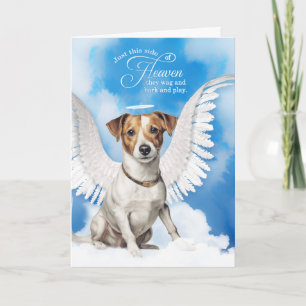 Carte Perte d'un chien Jack Russell Terrier Sympathie po