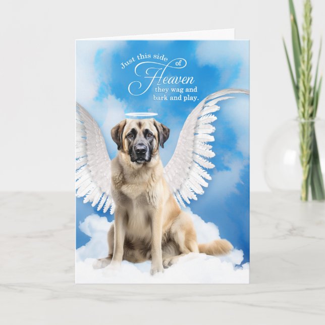 Carte Perte d'un chien Pasteur anatolien Sympathie pour  (Devant)