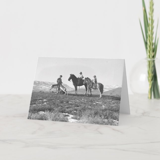 Carte Pet Antelopes. (Devant)