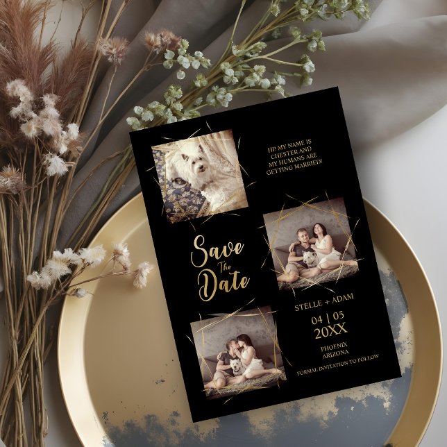 Carte Pet Black Stylish Moderne Calligraphie 3-Photo (Pet Black Stylish Modern Calligraphy 3-Photo Save the Date Cards.)