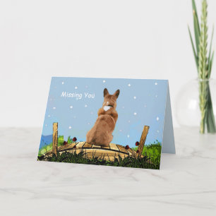 Carte Pet Loss sympathie