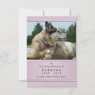 Carte Pet Memorial 3,5 po x 5 po - Photo Pink Mode