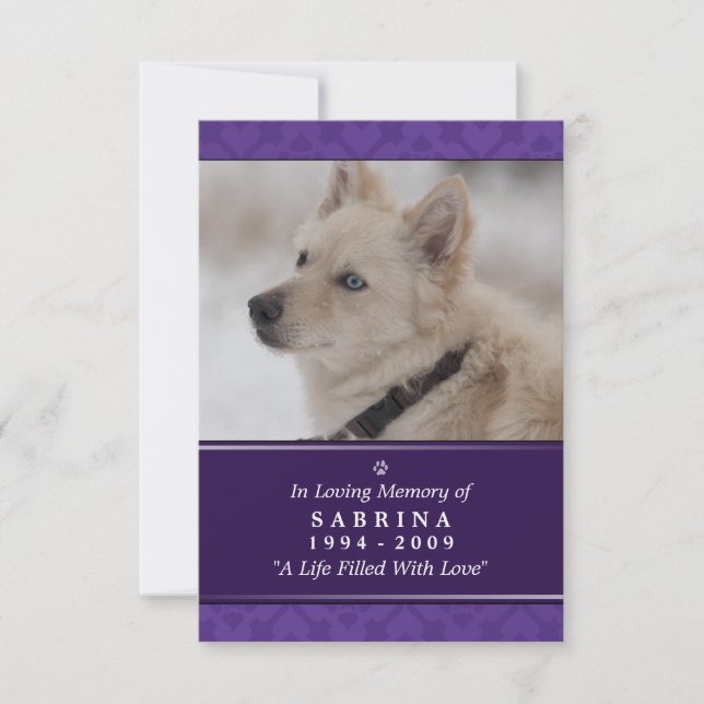 Carte Pet Memorial 3,5 po x 5 po - Photo violette  (Devant)