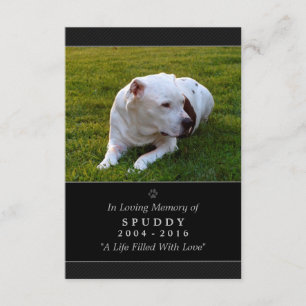 Carte Pet Memorial 3,5 pouces x 5 pouces Photo mod