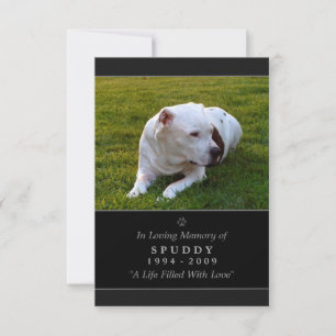 Carte Pet Memorial 3,5 pouces x 5 pouces Photo mod