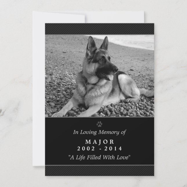 Carte Pet Memorial 5"x7" Black Modern - Homme Pet (Devant)