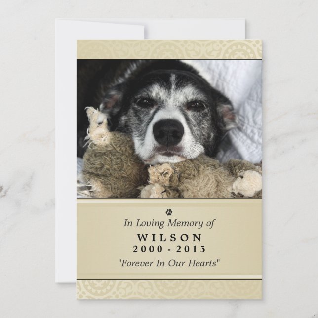 Carte Pet Memorial 5"x7" Creme Modern - Homme Pet (Devant)