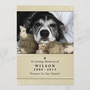 Carte Pet Memorial 5"x7" Creme Photo moderne
