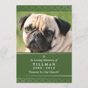 Carte Pet Memorial 5"x7" Photo verte - Homme