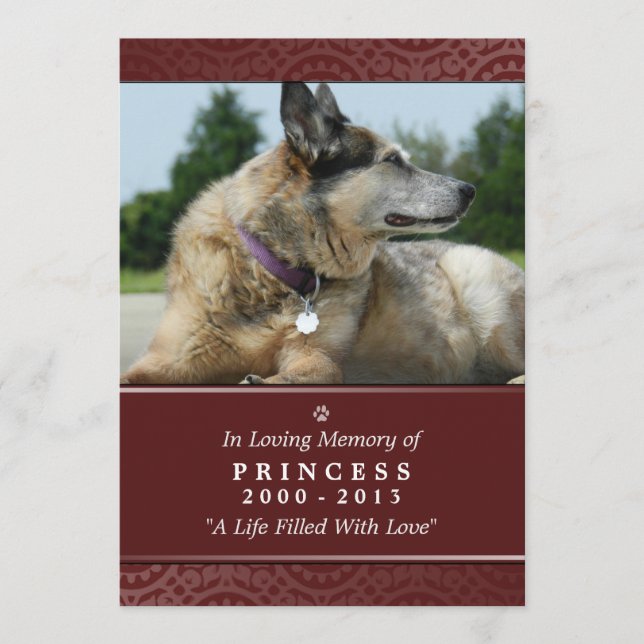 Carte Pet Memorial 5"x7" Rainbow Bridge (Homme) (Devant)