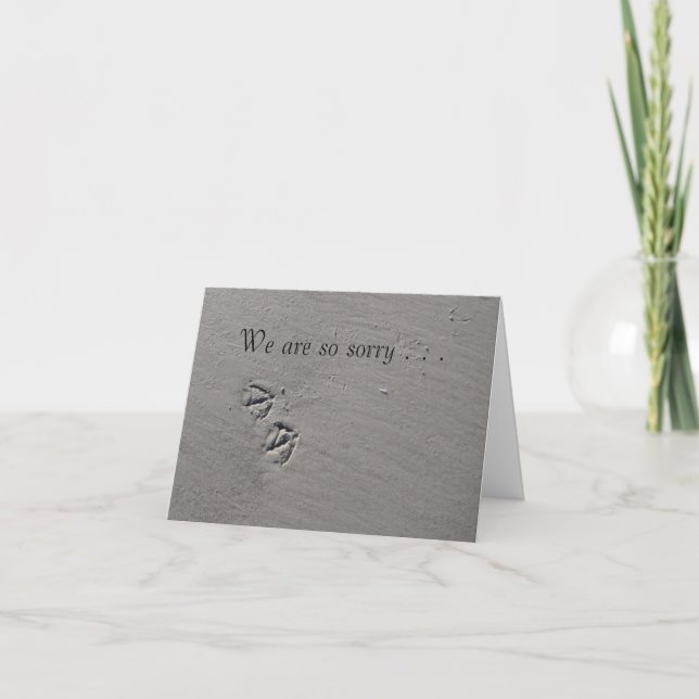 Carte Pet Symathy (Devant)