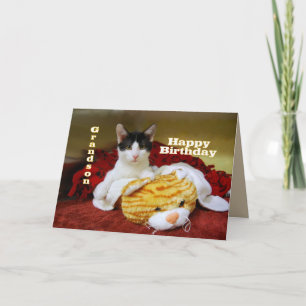 Carte Petit-fils Joyeux Kitten d'anniversaire avec Tigre