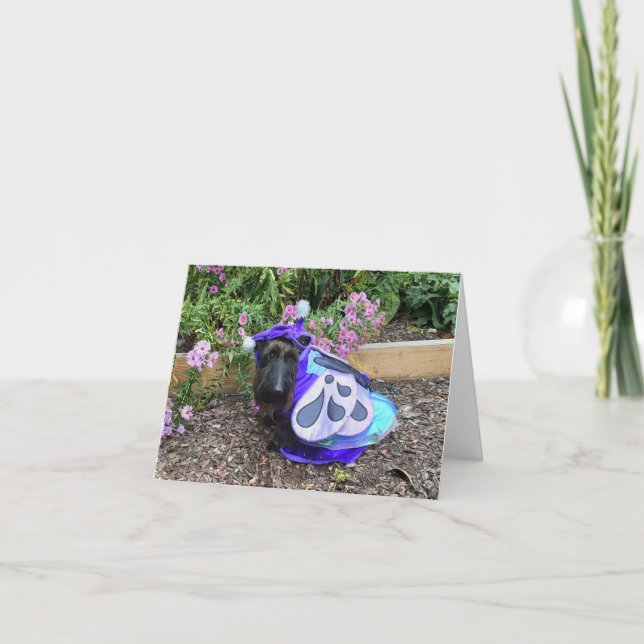 Carte Petit Flutterby (Devant)