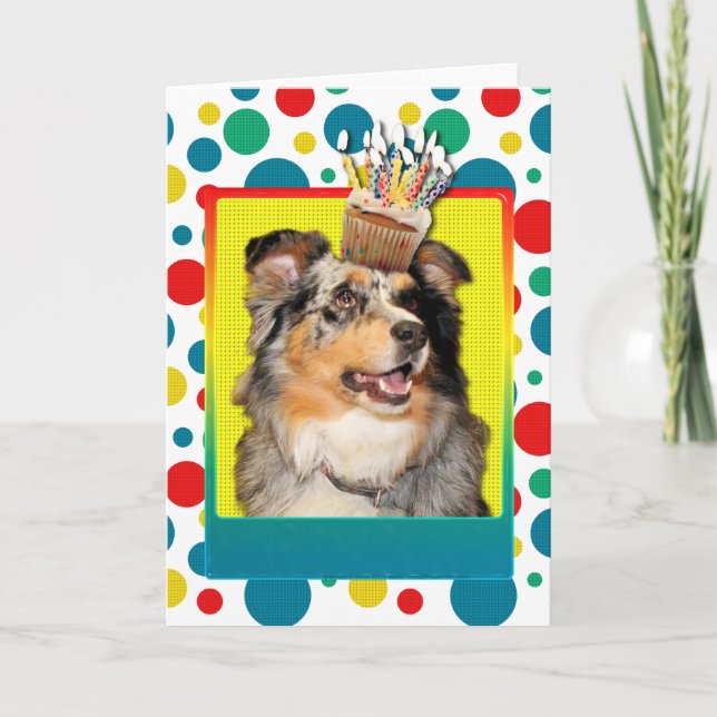 Carte Petit gâteau d'anniversaire - berger australien - (Devant)