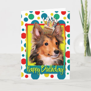 Carte Petit gâteau d'anniversaire - chiot de Sheltie -