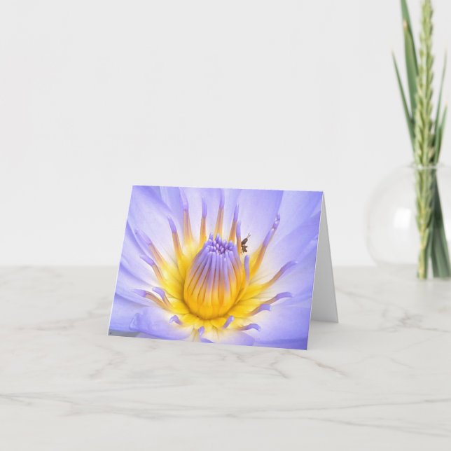 Carte Petit invité (Devant)