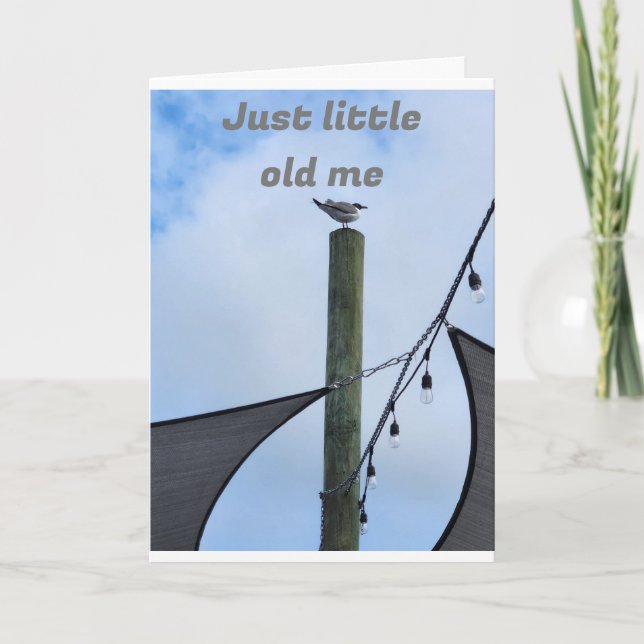 CARTE PETIT JE SOUHAITE PETIT ANNIVERSAIRE... (Devant)