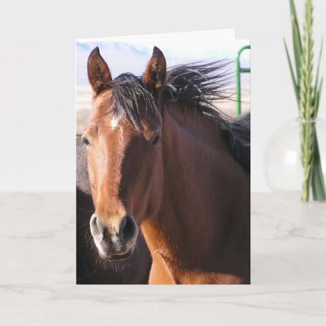 Carte Petit peu (Devant)