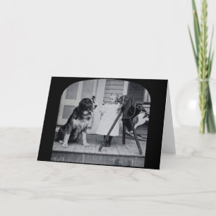 Carte Petit photographe et son cru de St Bernard