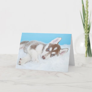 Carte Petite marionnette Husky posée sur une couverture