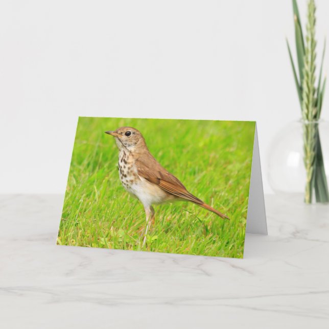 Carte Petite Nature D'Oiseau Qui Pense À Vous (Devant)