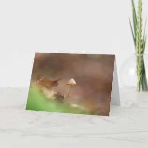 Carte Petite photo de la nature des champignons