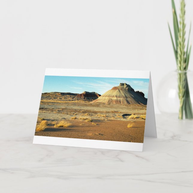 Carte Petrified Forest Desert Arizona Paysage Photo (Devant)