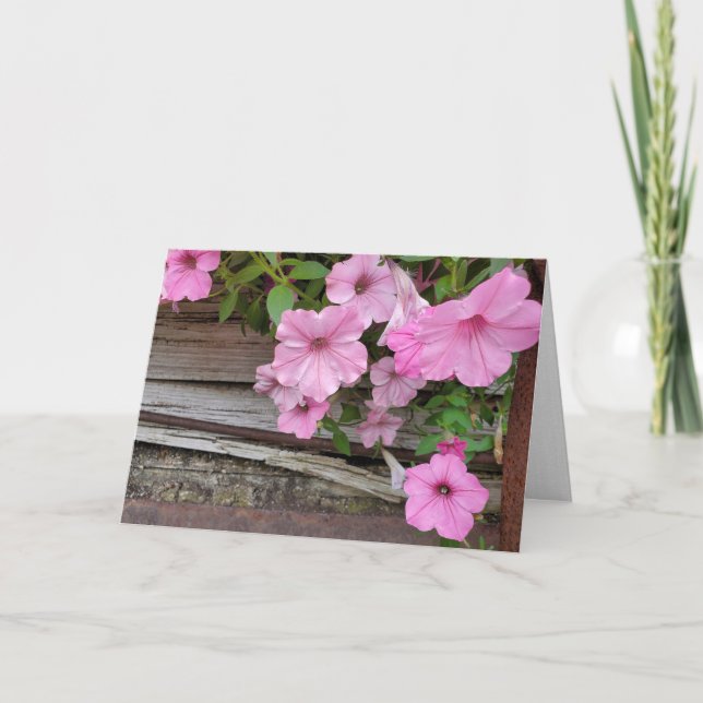Carte Pétunias Rose Sur Bois Rustique (Devant)