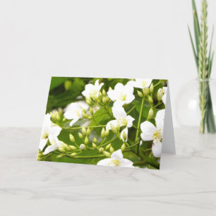 Carte Peut fleurir des salutations de Tout-Occasion de