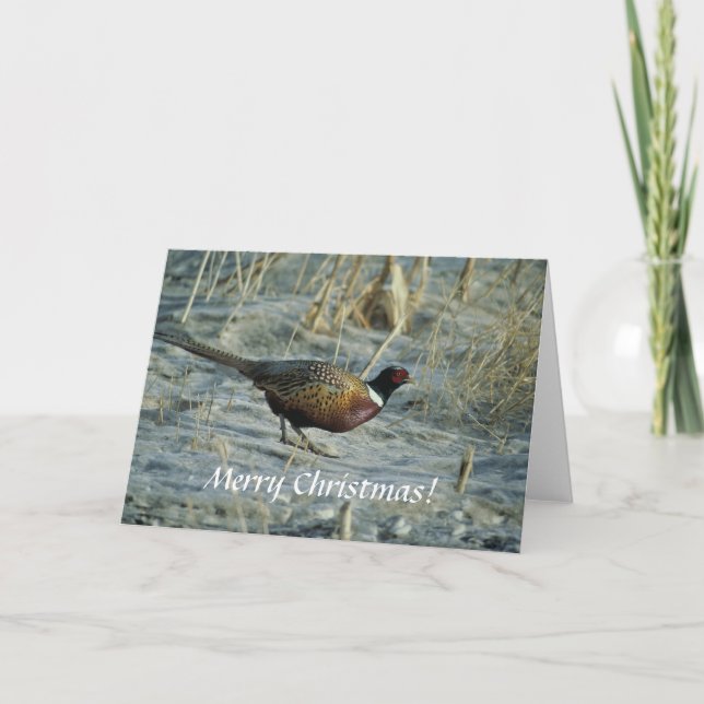 Carte / Phéasant à cou d'anneau / Joyeux Noël! (Devant)