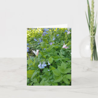 Carte Philippians 4:4 Blank Card