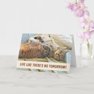 Carte Philosophie Lazy Cat Anniversaire