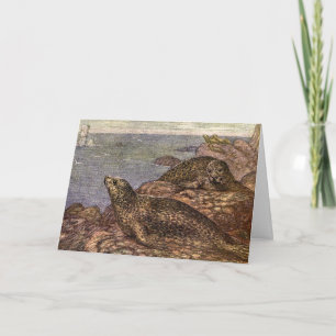 Carte Phoques, Faune Marine Vintage Animaux de l'Océan