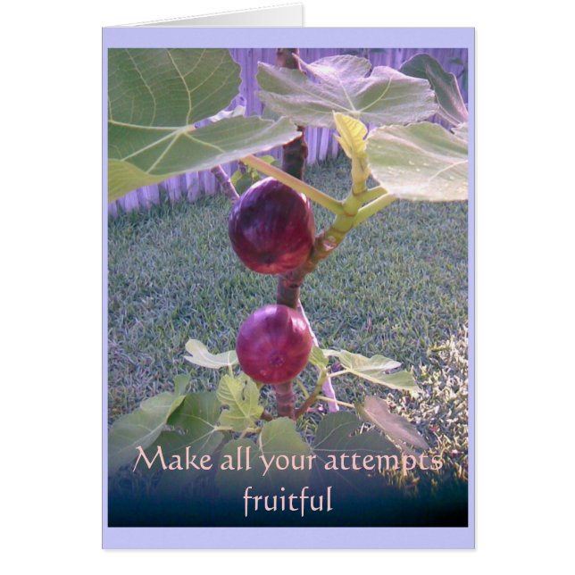 Carte photo 3 (Devant)