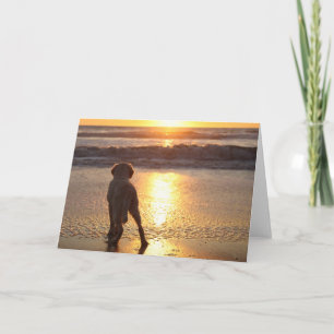 Carte photo blanc Golden Retriever