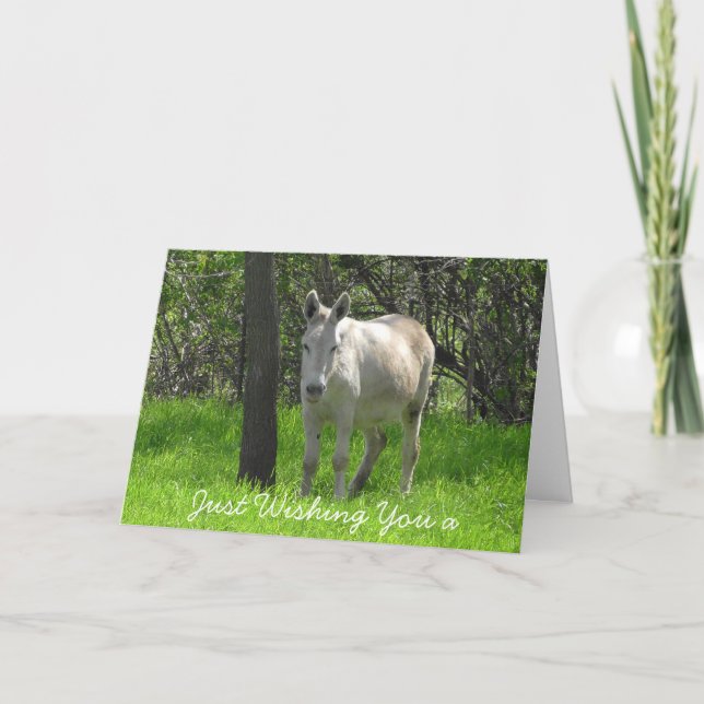 Carte Photo blanche d'âne de joyeux anniversaire (Devant)