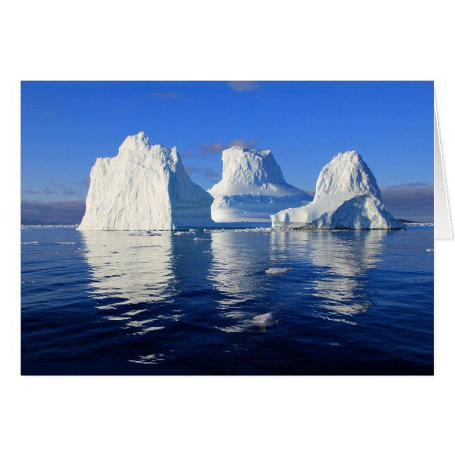 Carte photo blanche et bleue des icebergs arctique (Devant Horizontal)