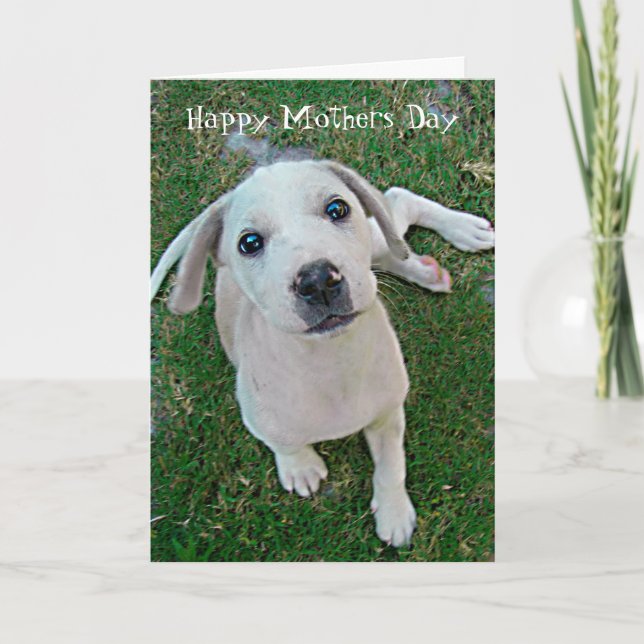 Carte photo Chien chiot blanc Joyeux Fête des mères (Devant)