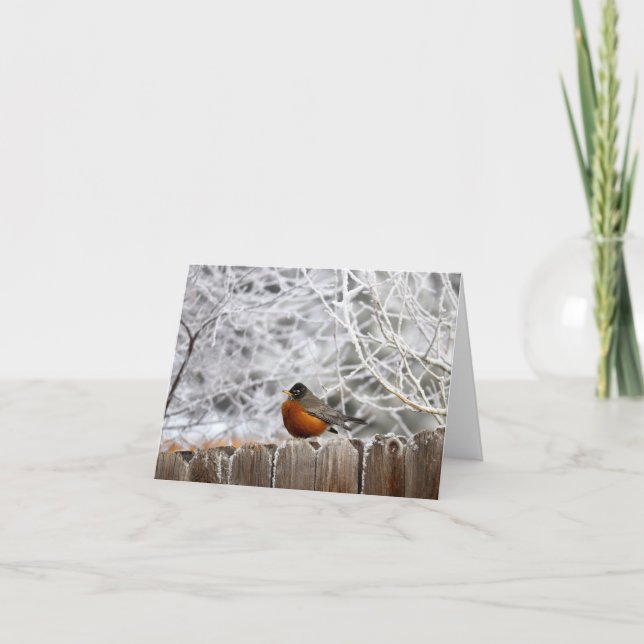Carte photo couleur Robin en hiver (Devant)