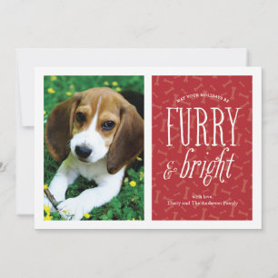 Carte photo d'animal de compagnie Furry and Bright