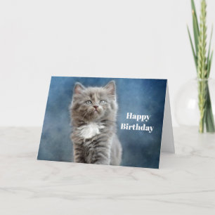 Carte Photo d'anniversaire Cute Grey and White Kitten