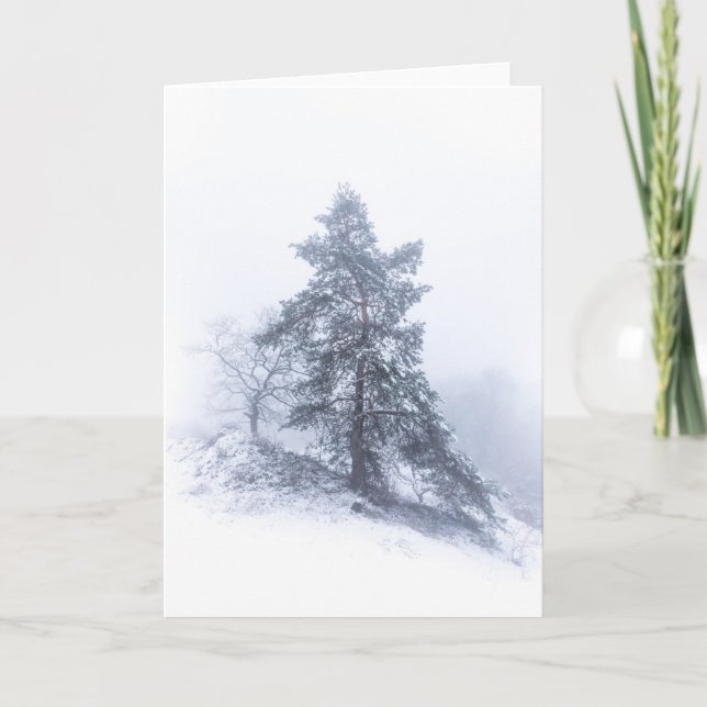 Carte photo d'arbre couvert de neige (Devant)
