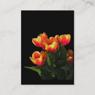 Carte photo d'ATC de tulipes de Rembrandt