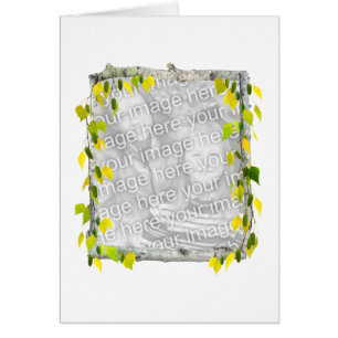 Carte photo de bouleau