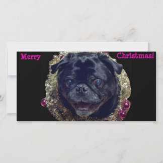 Carte photo de Carlin de Noël fou