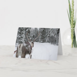 Carte photo de carte de Noël de renne de la