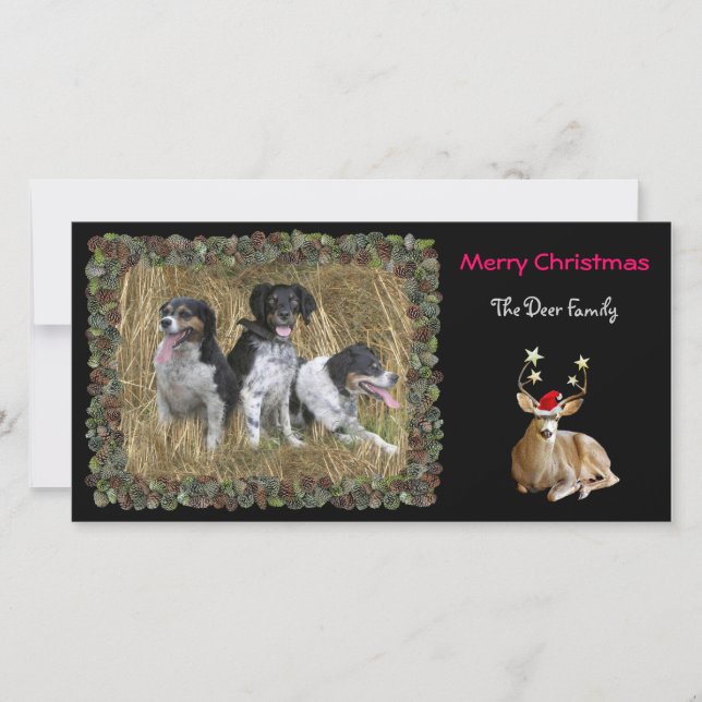 Carte photo de cerfs communs de Noël (Devant)