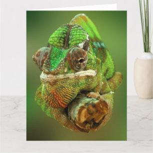 Carte Photo de Chameleon