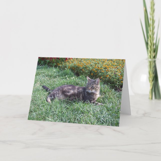 Carte Photo de chat Cute Tabby (Devant)